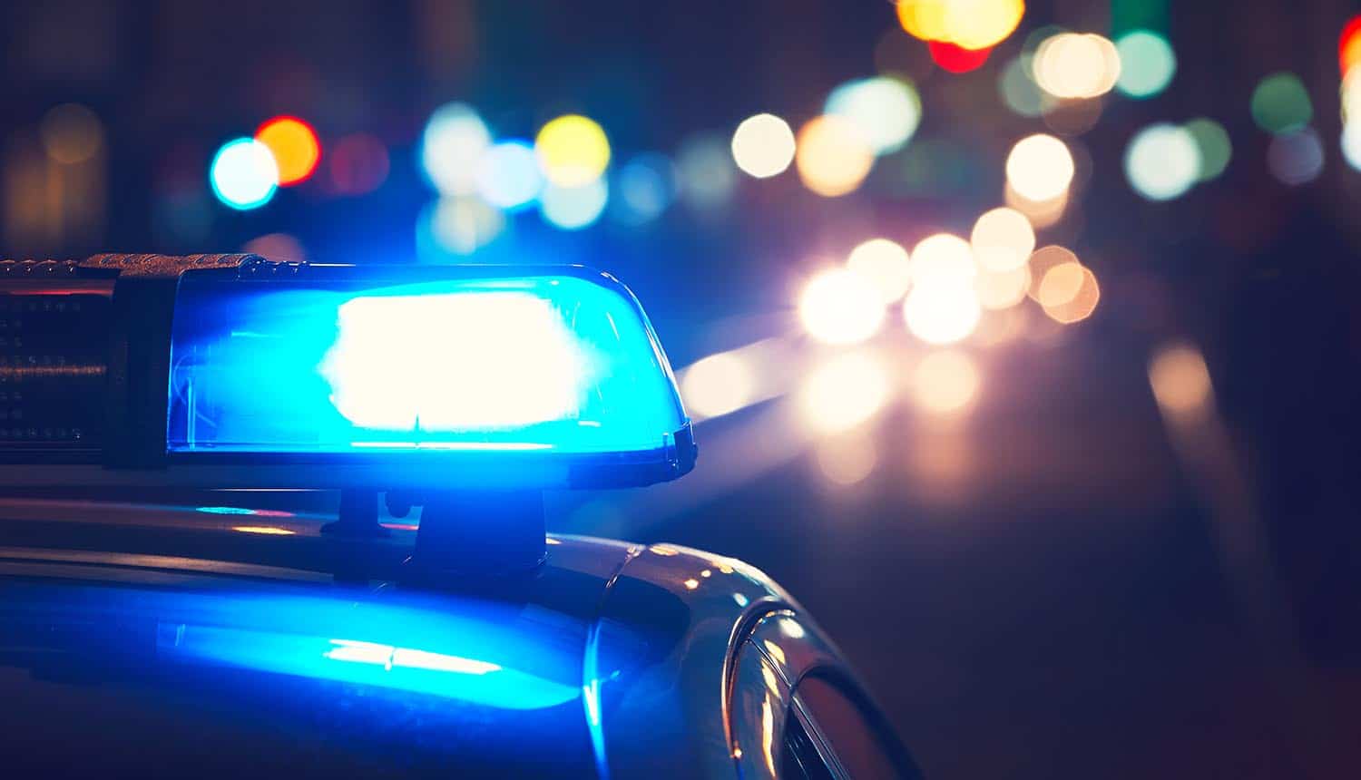 Law Enforcement Operations Continue to Come After World's Biggest ...